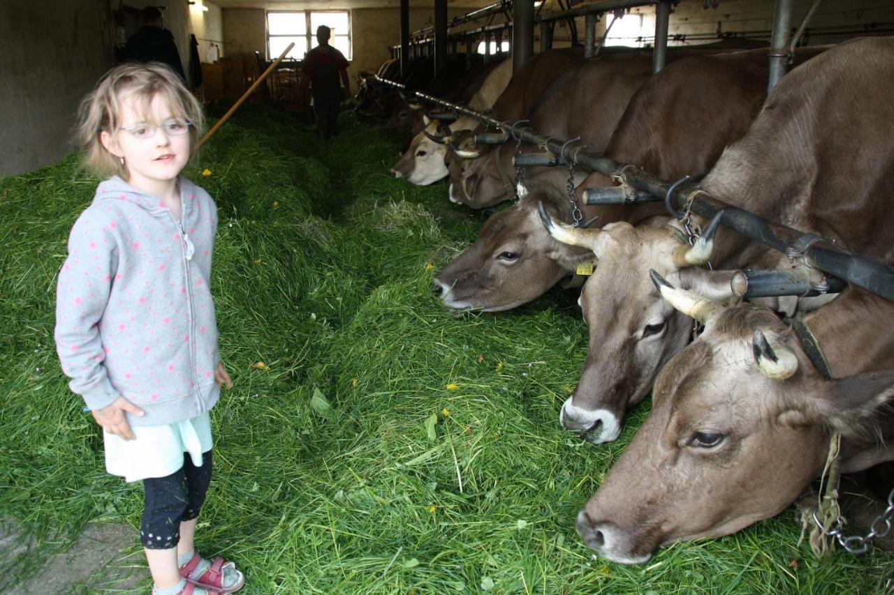 Andreashof Farm stay *