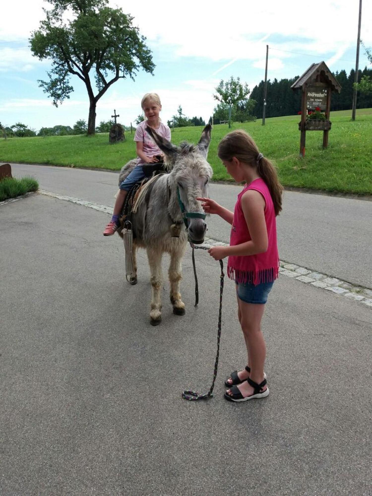 Farm stay Andreashof Heimenkirch