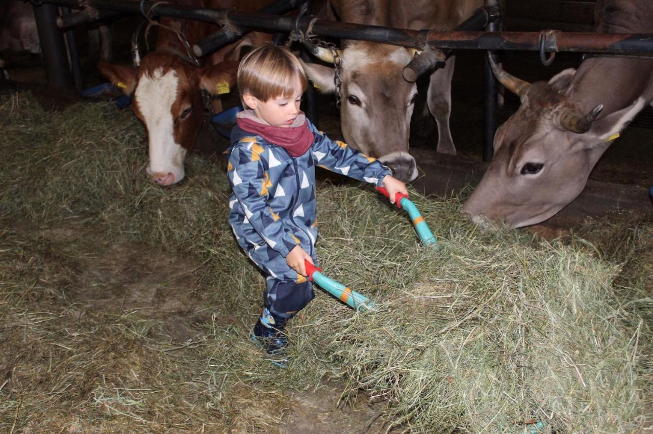 Farm stay Andreashof