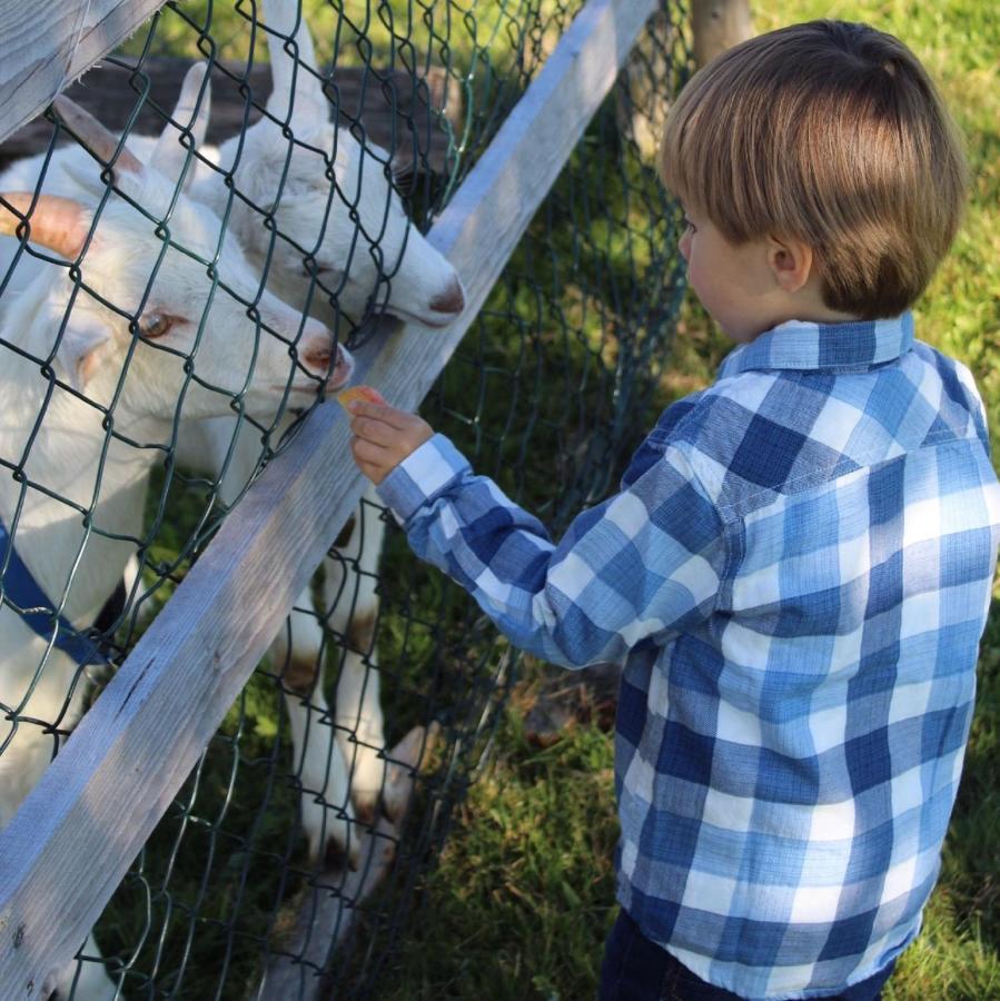 Andreashof Farm stay