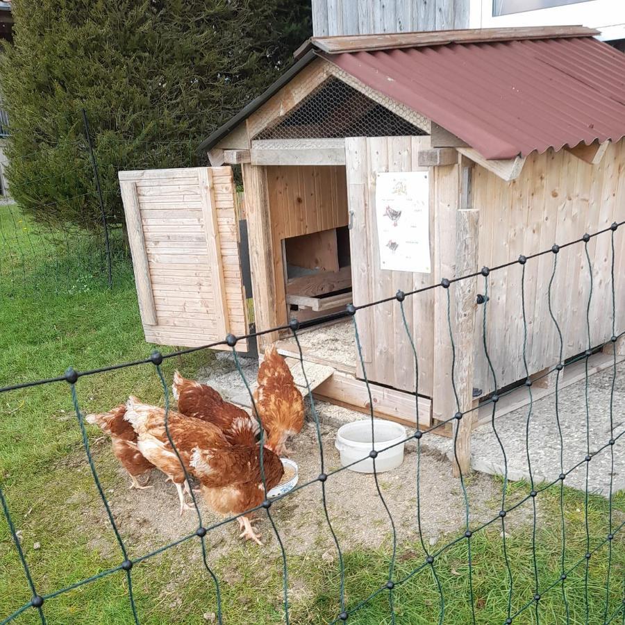 Andreashof Farm stay