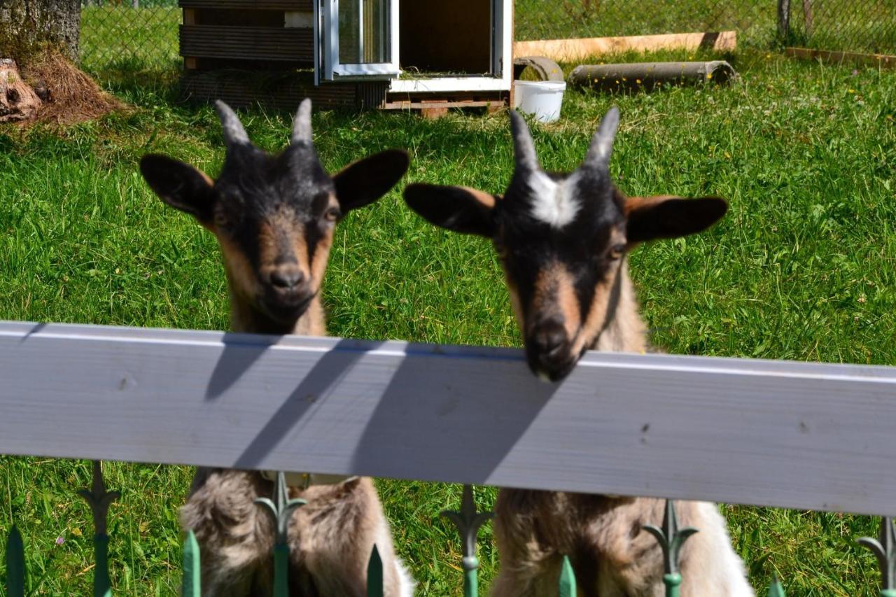 Andreashof Farm stay Heimenkirch
