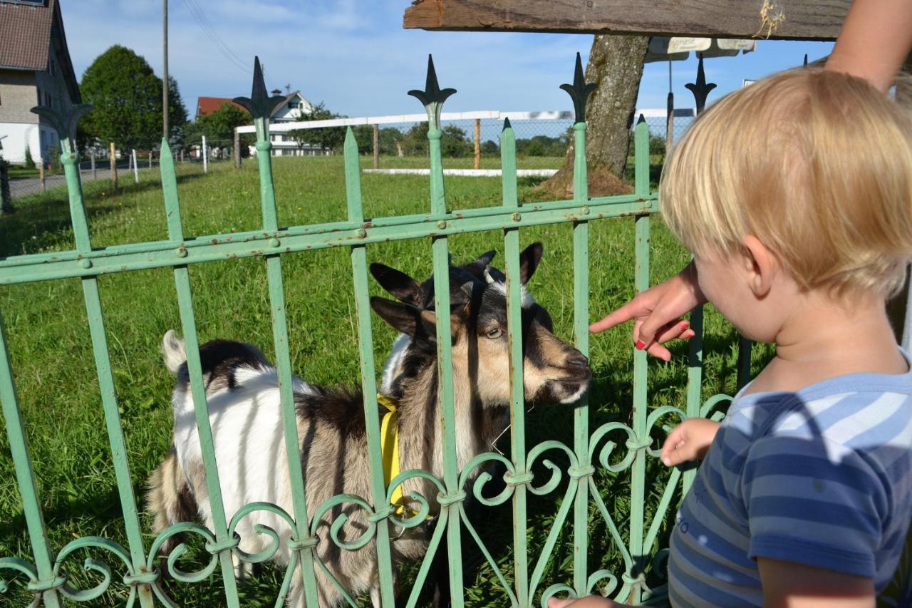 Andreashof Farm stay